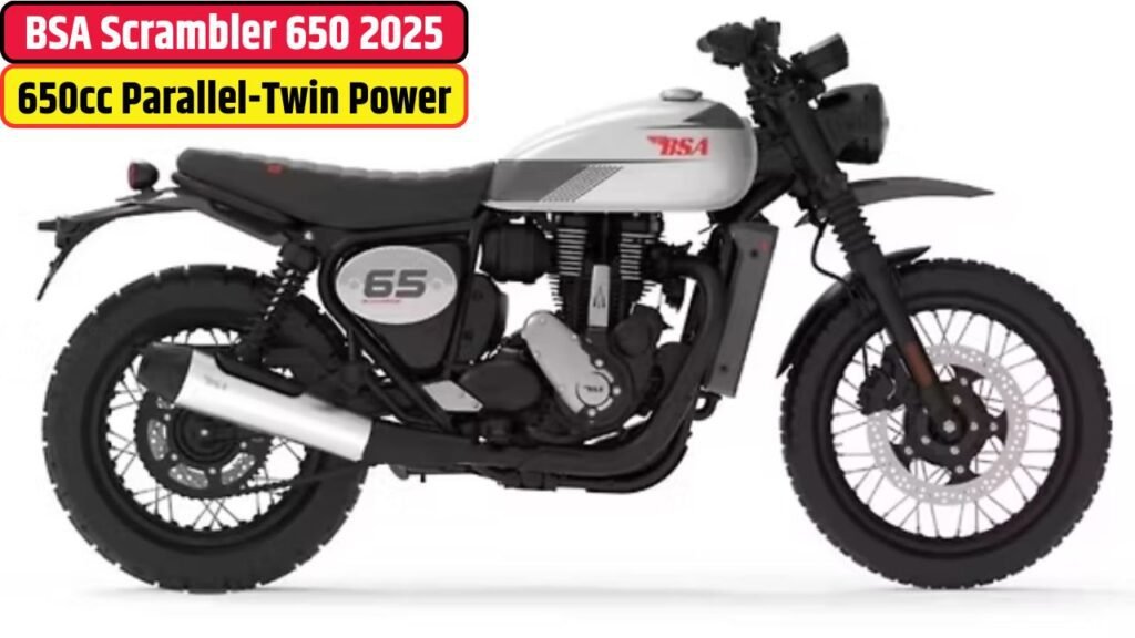 BSA Scrambler 650 2025