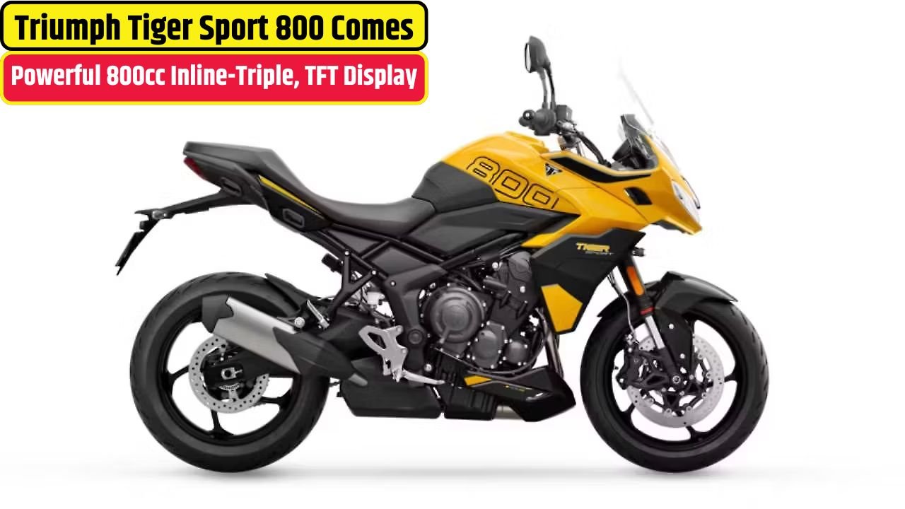 Triumph Tiger Sport 800