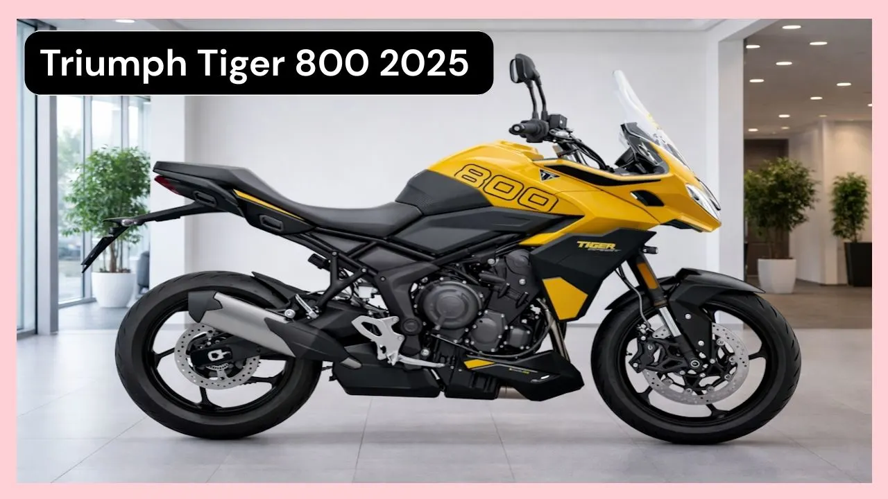 Triumph Tiger 800 2025 Launched